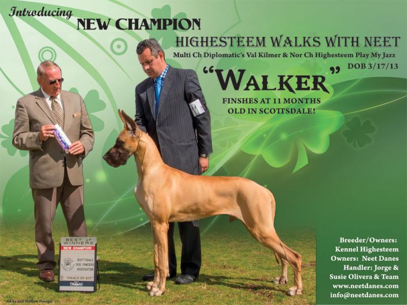 Ch Walker